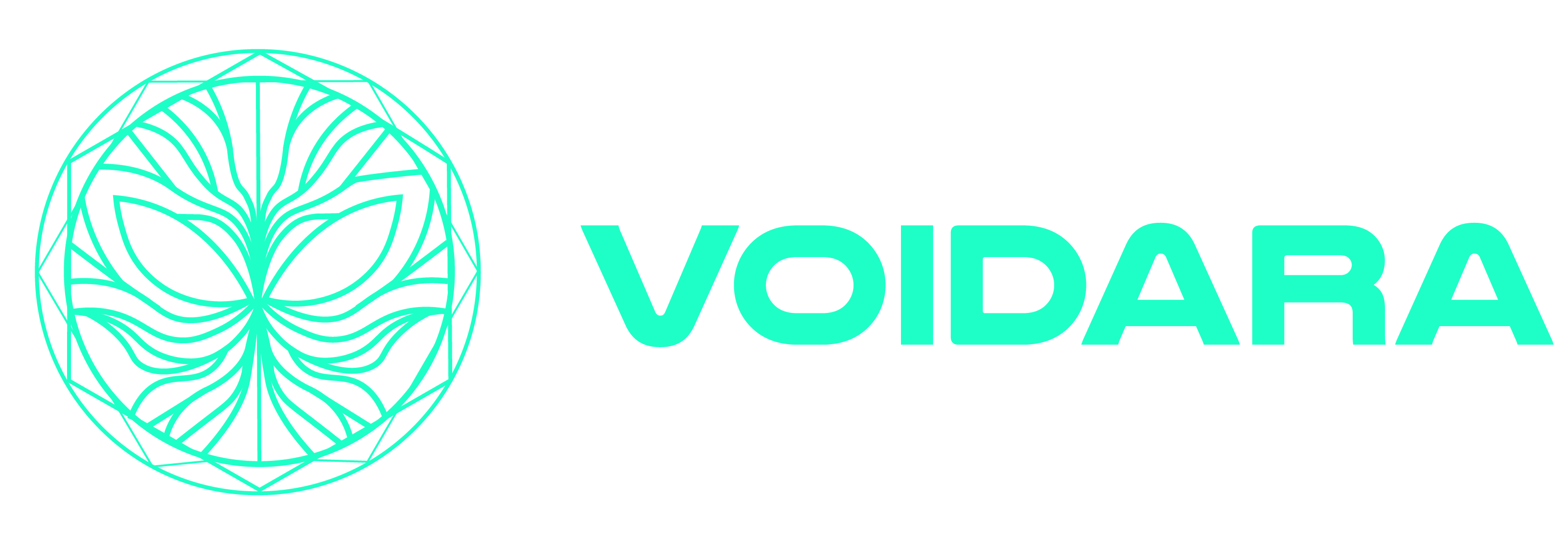 Voidara Logo